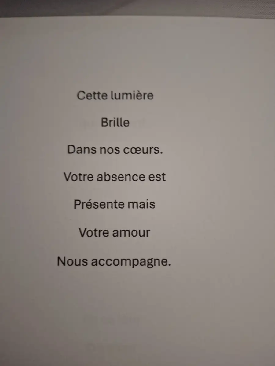 Lanterne lumineuse
